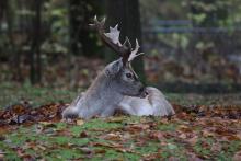 Tierpark Hellabrunn