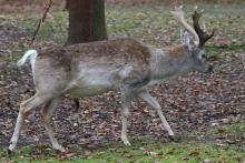 Tierpark Hellabrunn