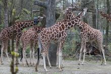 Tierpark Hellabrunn