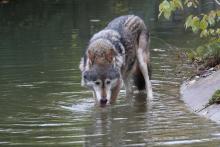 Tierpark Hellabrunn