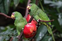 Tierpark Hellabrunn