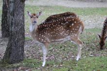 Tierpark Hellabrunn