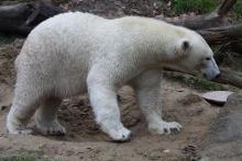 Tierpark Hellabrunn