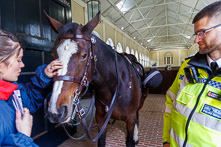 Royal Mews